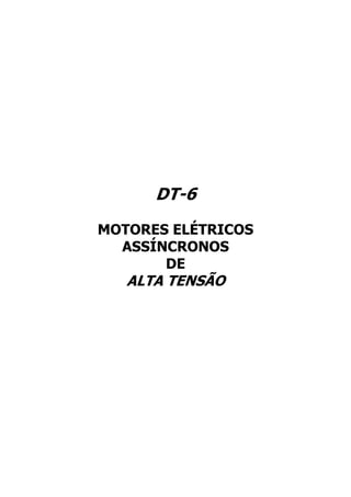 DT-6
MOTORES ELÉTRICOS
  ASSÍNCRONOS
       DE
   ALTA TENSÃO
 