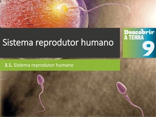Sistema reprodutor humano
3.1. Sistema reprodutor humano
 
