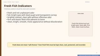 Prepared By: DepEd Club Team - DEPEDCLUB.COM
Prepared By: DepEd Club Team - DEPEDCLUB.COM
Grade 6 | TLE-AFA | Term 1 / Week 9 SESSION 2
18
Fresh Fish Indicators
Freshness evidence should be clean and consistent.
• fresh and not unpleasant odor
• full, bright eyes with black pupil and transparent cornea
• brightly colored, clean gills without offensive odor
• firm and elastic flesh that adheres to bone
• clean, bright, smooth, moist appearance without discoloration
VISUAL GUIDE
Fresh-fish photo/card set:
bright eyes, clean gills, firm
flesh, clean moist surface.
Fresh does not mean “safe forever.” Even fresh fish must be kept clean, cool, protected, and recorded.
 