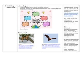 4
B. Establishing
Lesson Purpose
1. Lesson Purpose
The students will read the article on Natural Selection.
In groups, students will describe the following terms used in natural selection,
based on prior knowledge.
Source: Canva
Picture Analysis
The lesson proper will start
with the understanding of
Natural Selection based on
the material:
https://education.national
geographic.org/resource/n
atural-selection/
This activity will be done
collaboratively
emphasizing on the theory
of natural selection.
Key:
Evolution is a
developmental process by
which all organisms
progress from earlier forms
of living things. So, animal
evolution is greatly
influenced by plant
evolution.
All placental mammals (one
of the 3 groups) alive today
share a common ancestor
that lived somewhere
between 100 million years
ago and 65 million years
ago.
Direct and indirect
evidence show that living
Source:
https://www.tourhq.com/tours/86467/8-
day-wildlife-and-safari-expedition-
through-tanzania-s-national-parks
Source: https://iucnsos.org/projects/the-impact-
of-the-mauritius-fruit-bat-pteropus-niger-on-
commercial-fruit-farms-and-possible-mitigation-
methods/
 