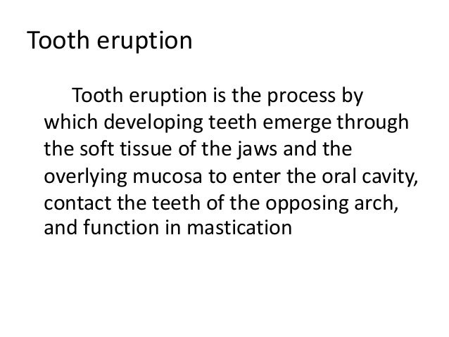 tooth eruption chart