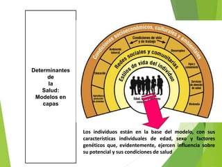 Determinantes
de
la
Salud:
Modelos en
capas
Los individuos están en la base del modelo, con sus
características individuales de edad, sexo y factores
genéticos que, evidentemente, ejercen influencia sobre
su potencial y sus condiciones de salud
 