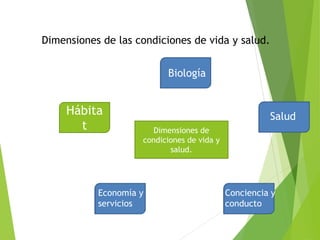 Dimensiones de las condiciones de vida y salud.
Dimensiones de
condiciones de vida y
salud.
Hábita
t
Biología
Salud
Conciencia y
conducto
Economía y
servicios
 