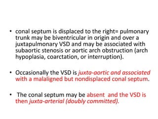 • conal septum is displaced to the right= pulmonary
trunk may be biventricular in origin and over a
juxtapulmonary VSD and may be associated with
subaortic stenosis or aortic arch obstruction (arch
hypoplasia, coarctation, or interruption).
• Occasionally the VSD is juxta-aortic and associated
with a malaligned but nondisplaced conal septum.
• The conal septum may be absent and the VSD is
then juxta-arterial (doubly committed).
 