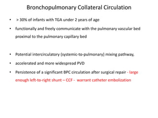 Bronchopulmonary Collateral Circulation
• > 30% of infants with TGA under 2 years of age
• functionally and freely communicate with the pulmonary vascular bed
proximal to the pulmonary capillary bed
• Potential intercirculatory (systemic-to-pulmonary) mixing pathway,
• accelerated and more widespread PVD
• Persistence of a significant BPC circulation after surgical repair - large
enough left-to-right shunt – CCF - warrant catheter embolization
 