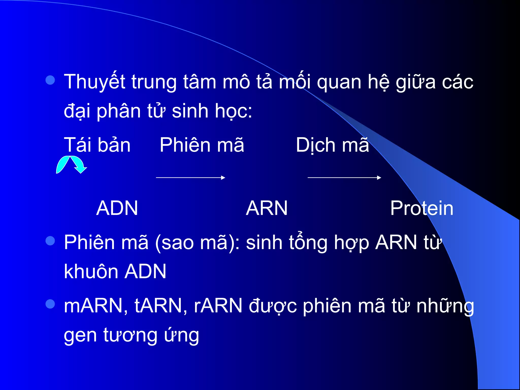 Thuyết trung tâm mô tả mối quan hệ giữa các đại phân tử sinh học: Tái bản  Phiên mã  Dịch mã  ADN  ARN  Protein Phiên mã (sao mã): sinh tổng hợp ARN từ khuôn ADN  mARN, tARN, rARN được phiên mã từ những gen tương ứng 