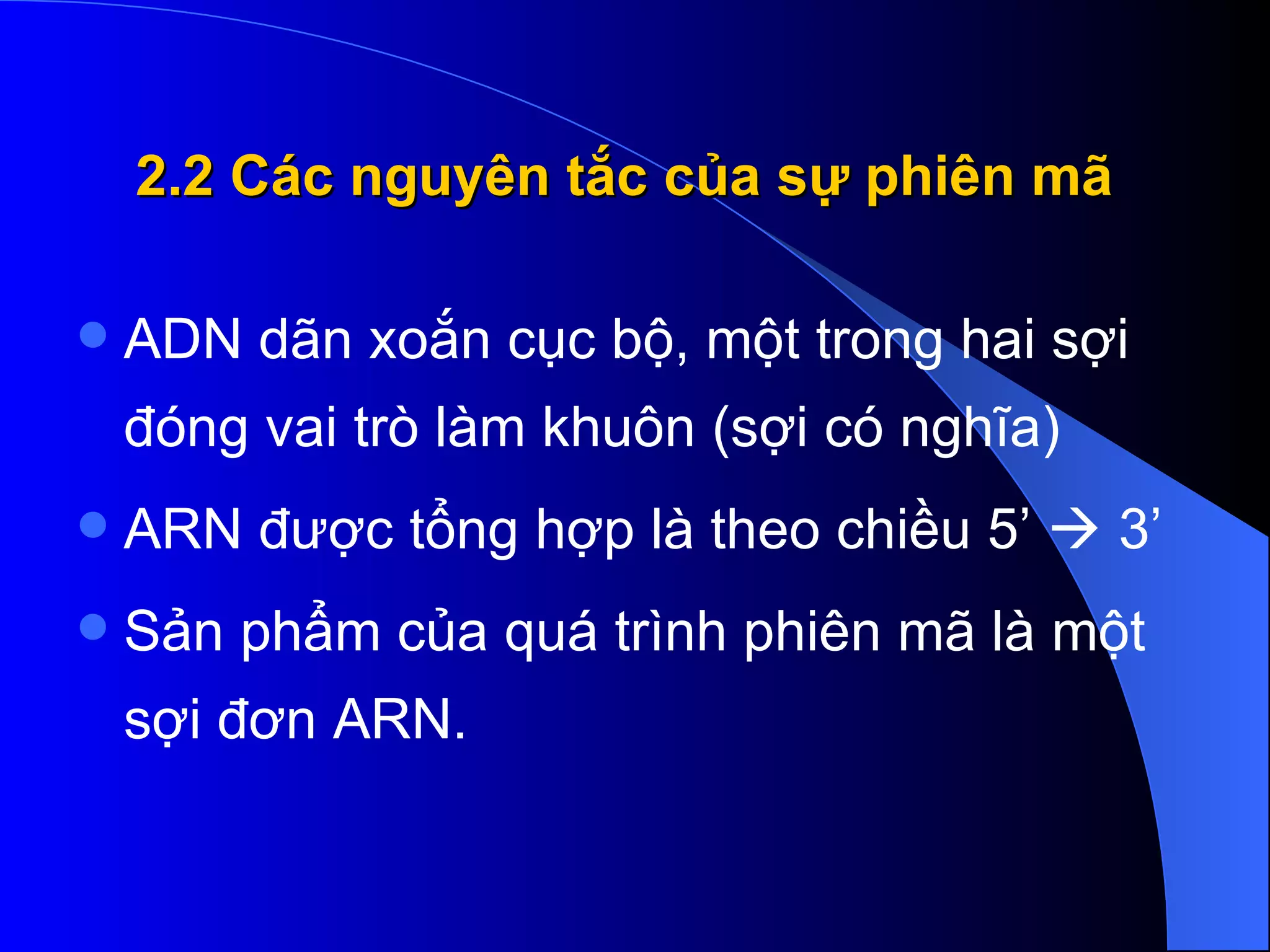 2.2 Các nguyên tắc của sự phiên mã ADN dãn xoắn cục bộ, một trong hai sợi đóng vai trò làm khuôn (sợi có nghĩa) ARN được tổng hợp là theo chiều 5’    3’  Sản phẩm của quá trình phiên mã là một sợi đơn ARN. 