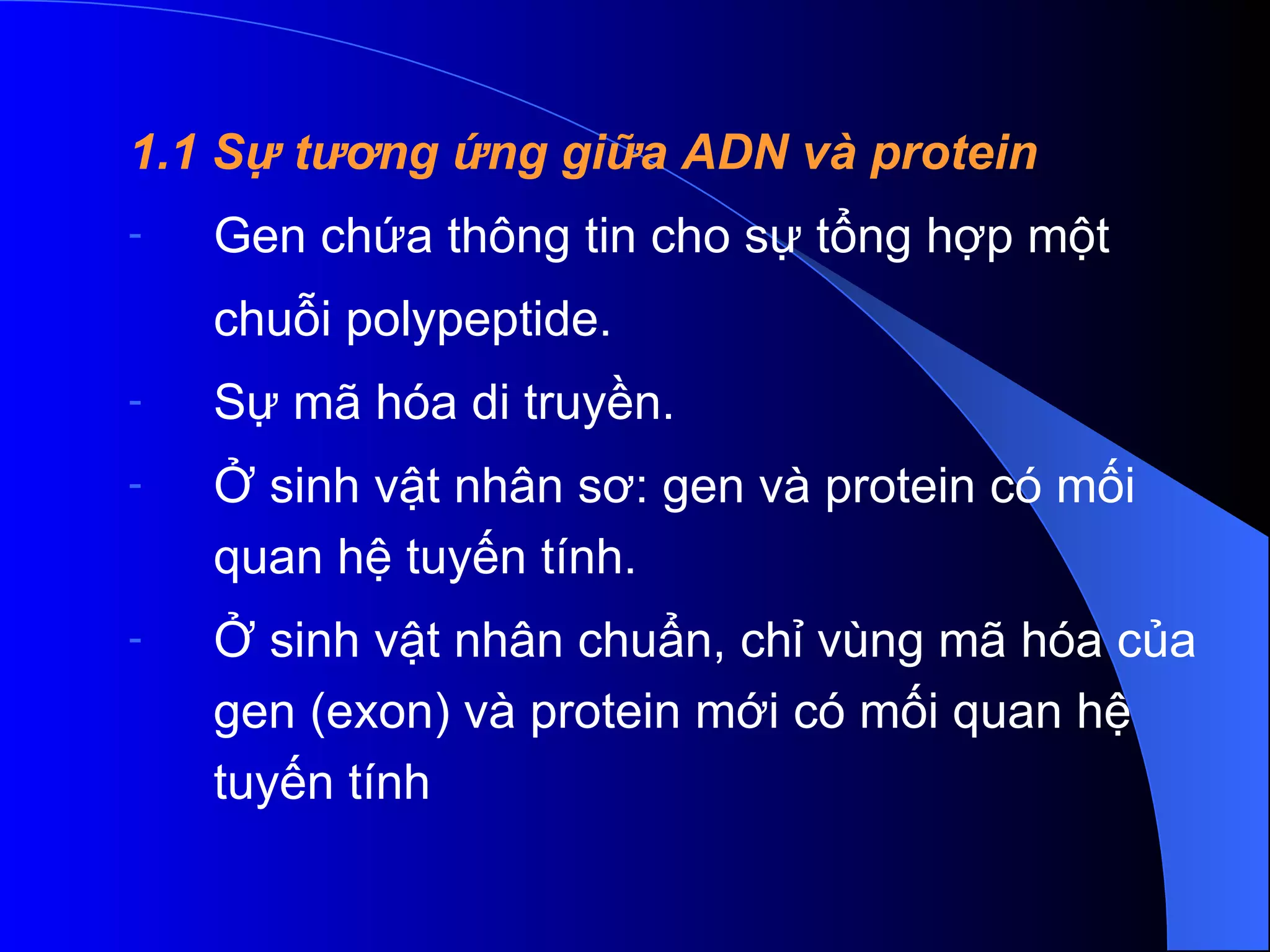 1.1 Sự tương ứng giữa ADN và protein Gen chứa thông tin cho sự tổng hợp một  chuỗi polypeptide.  Sự mã hóa di truyền.  Ở sinh vật nhân sơ: gen và protein có mối quan hệ tuyến tính.  Ở sinh vật nhân chuẩn, chỉ vùng mã hóa của gen (exon) và protein mới có mối quan hệ tuyến tính 