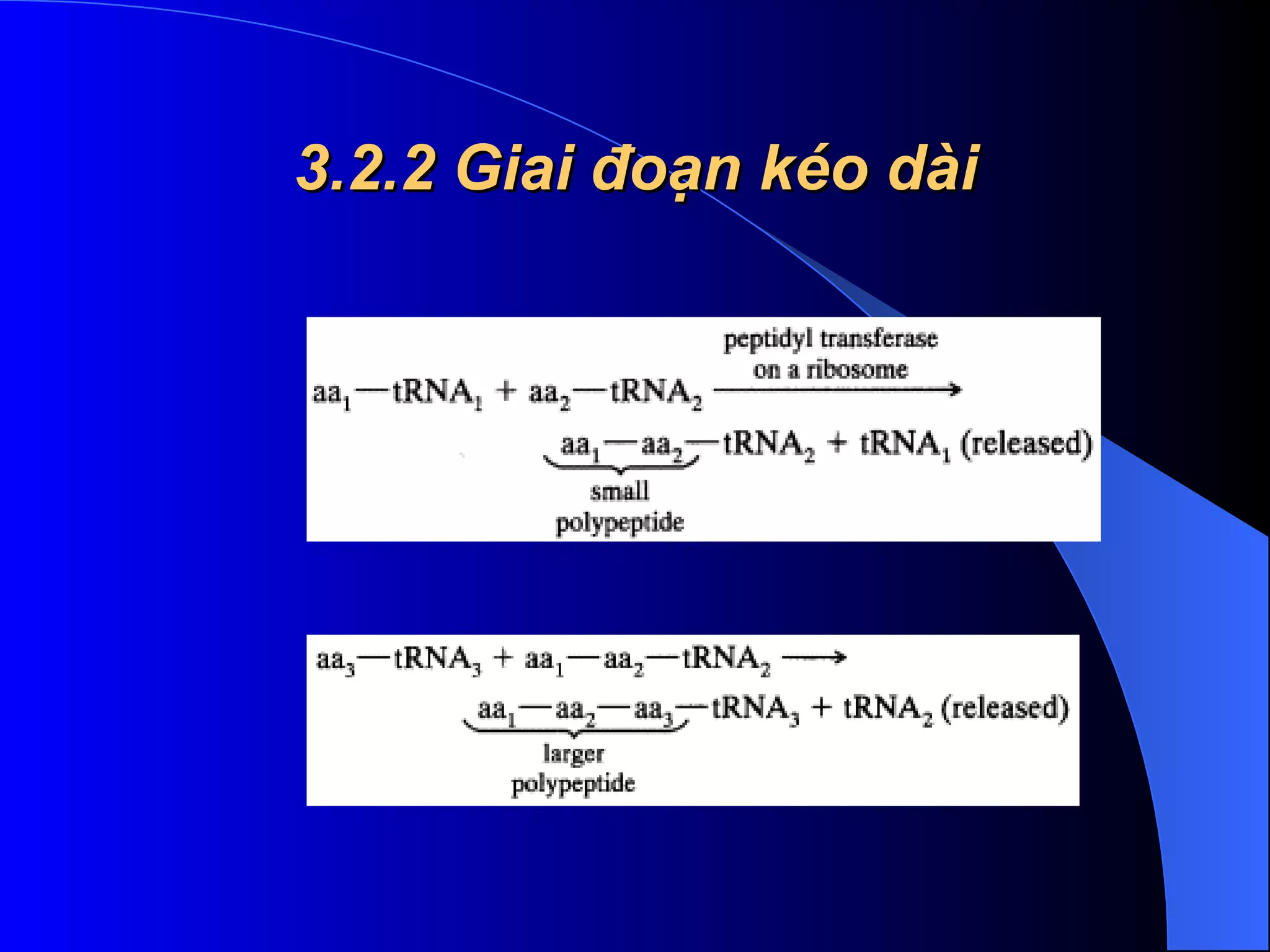 3.2.2 Giai đoạn kéo dài 