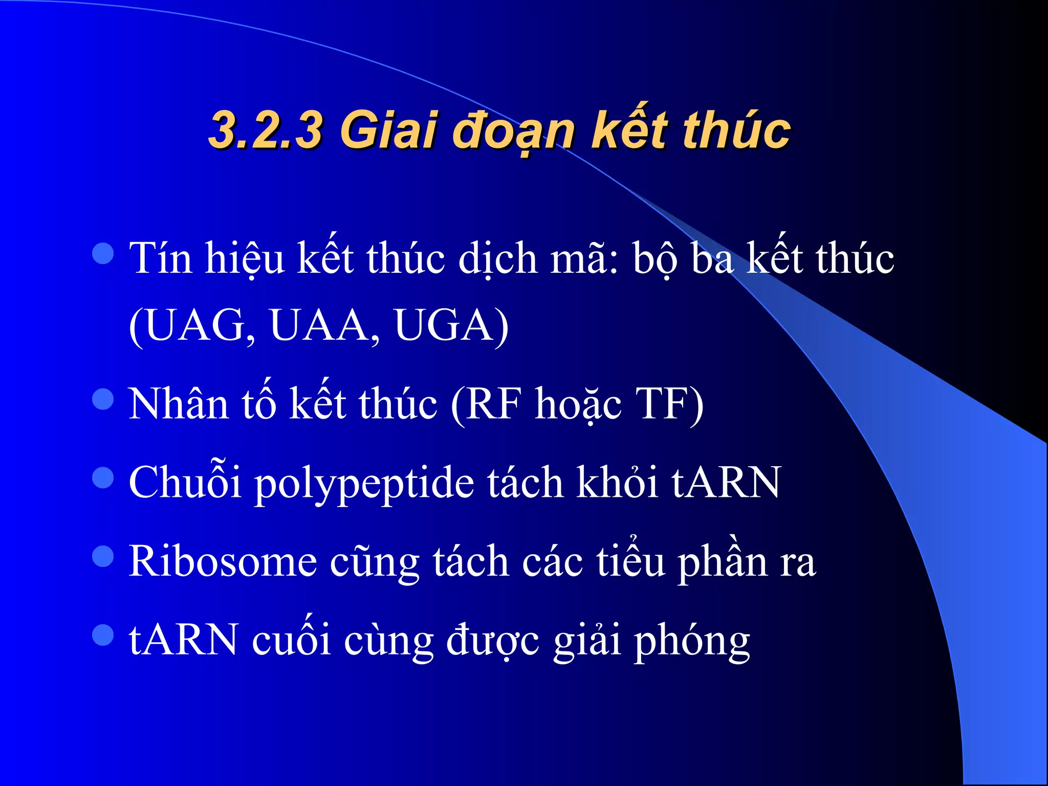 3.2.3 Giai đoạn kết thúc Tín hiệu kết thúc dịch mã: bộ ba kết thúc (UAG, UAA, UGA)  Nhân tố kết thúc (RF hoặc TF)  Chuỗi polypeptide tách khỏi tARN  Ribosome cũng tách các tiểu phần ra  tARN cuối cùng được giải phóng  