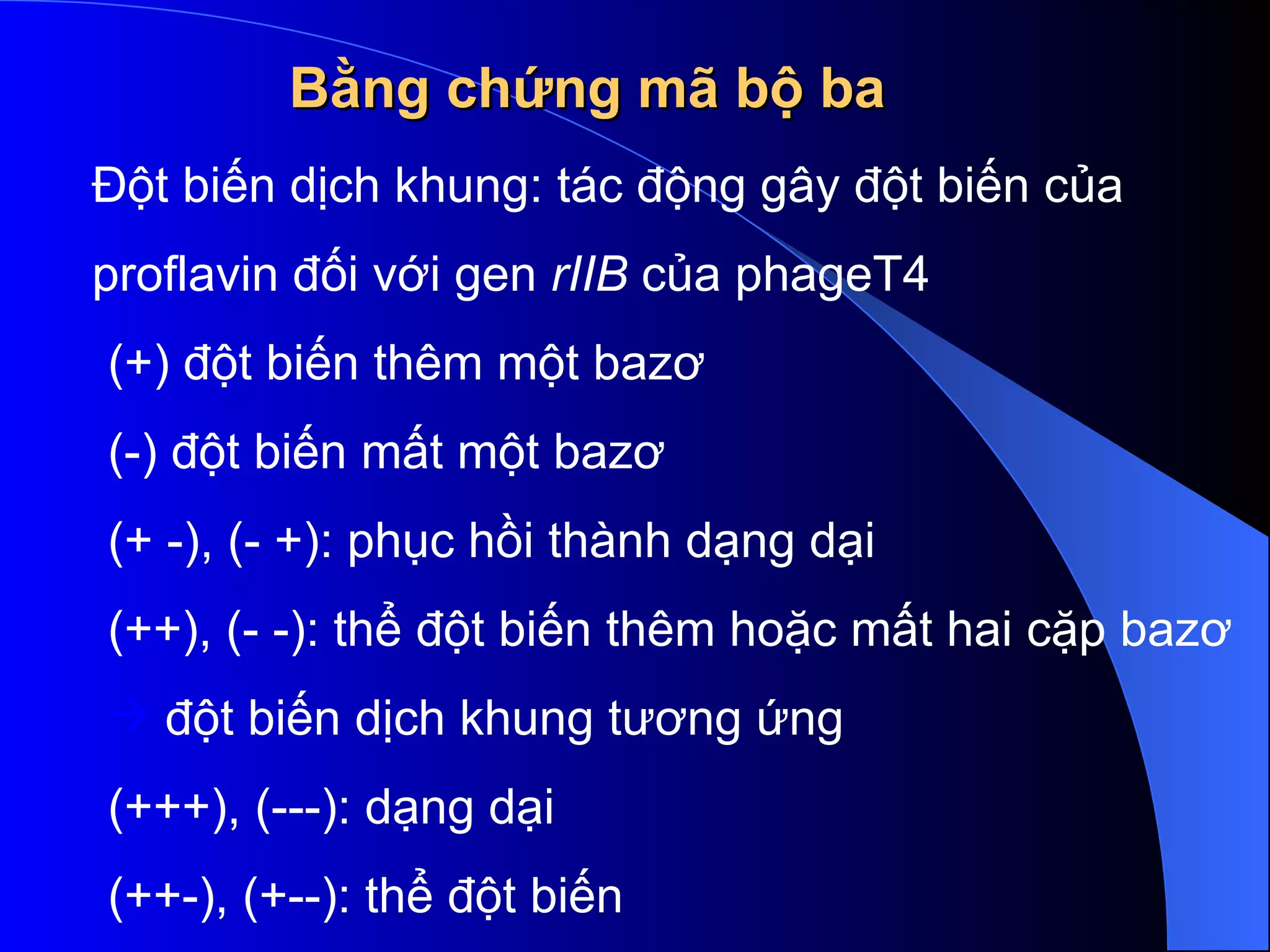 Bằng chứng mã bộ ba Đột biến dịch khung: tác động gây đột biến của proflavin đối với gen  rIIB  của phageT4 (+) đột biến thêm một bazơ (-) đột biến mất một bazơ  (+ -), (- +): phục hồi thành dạng dại  (++), (- -): thể đột biến thêm hoặc mất hai cặp bazơ  đột biến dịch khung tương ứng (+++), (---): dạng dại  (++-), (+--): thể đột biến  