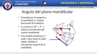 Angulo del plano mandibular
• Formado por la tangente a
la mandíbula y el plano
horizontal de Frankfort.
• La norma es 26° ± 4°, e
indica la inclinación del
cuerpo mandibular.
• Esta medida disminuye1°
cada 3 años hasta la edad
adulta debido al
crecimiento arquial de la
mandíbula.
ORTODONCIA Y ORTOPEDIA
Carrera: Técnico Superior en odontología
 