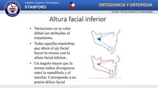 • Variaciones en su valor
deben ser atribuidas al
tratamiento.
• Todas aquellas maniobras
que abren el eje facial
hacen lo mismo con la
altura facial inferior..
• Un ángulo mayor que la
norma indica divergencia
entre la mandíbula y el
maxilar. Corresponde a un
patrón dólico facial
Altura facial inferior
ORTODONCIA Y ORTOPEDIA
Carrera: Técnico Superior en odontología
 