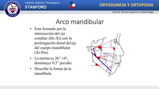 Arco mandibular
• Esta formado por la
intersección del eje
condilar (Dc-Xi) con la
prolongación distal deleje
del cuerpo mandibular
(Xi-Pm).
• La norma es 26° ±4°,
disminuye 0.5° poraño.
• Describe la forma de la
mandíbula
ORTODONCIA Y ORTOPEDIA
Carrera: Técnico Superior en odontología
 