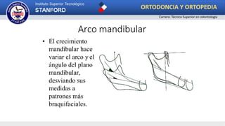 • El crecimiento
mandibular hace
variar el arco y el
ángulo del plano
mandibular,
desviando sus
medidas a
patrones más
braquifaciales.
Arco mandibular
ORTODONCIA Y ORTOPEDIA
Carrera: Técnico Superior en odontología
 