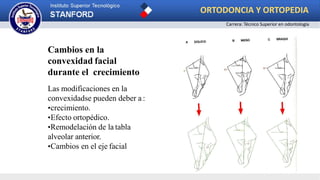 Cambios en la
convexidad facial
durante el crecimiento
Las modificaciones en la
convexidadse pueden deber a :
•crecimiento.
•Efecto ortopédico.
•Remodelación de la tabla
alveolar anterior.
•Cambios en el eje facial
ORTODONCIA Y ORTOPEDIA
Carrera: Técnico Superior en odontología
 