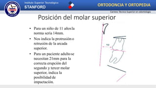 • Para un niño de 11 añosla
norma sería 14mm.
• Nos indica la protrusión o
retrusión de la arcada
superior.
• Para un paciente adultose
necesitan 21mm para la
correcta erupción del
segundo y tercer molar
superior, indica la
posibilidad de
Posición del molar superior
impactación.
ORTODONCIA Y ORTOPEDIA
Carrera: Técnico Superior en odontología
 