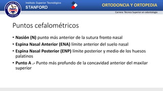 Puntos cefalométricos
• Nasión (N) punto más anterior de la sutura fronto nasal
• Espina Nasal Anterior (ENA) límite anterior del suelo nasal
• Espina Nasal Posterior (ENP) límite posterior y medio de los huesos
palatinos
• Punto A .- Punto más profundo de la concavidad anterior del maxilar
superior
ORTODONCIA Y ORTOPEDIA
Carrera: Técnico Superior en odontología
 