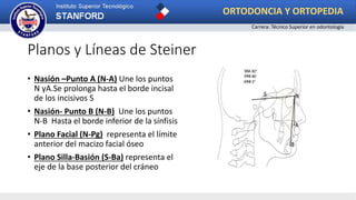 Planos y Líneas de Steiner
• Nasión –Punto A (N-A) Une los puntos
N yA.Se prolonga hasta el borde incisal
de los incisivos S
• Nasión- Punto B (N-B) Une los puntos
N-B Hasta el borde inferior de la sínfisis
• Plano Facial (N-Pg) representa el límite
anterior del macizo facial óseo
• Plano Silla-Basión (S-Ba) representa el
eje de la base posterior del cráneo
ORTODONCIA Y ORTOPEDIA
Carrera: Técnico Superior en odontología
 