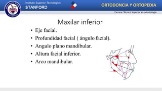 Maxilar inferior
• Eje facial.
• Profundidad facial ( ángulo facial).
• Angulo plano mandibular.
• Altura facial inferior.
• Arco mandibular.
ORTODONCIA Y ORTOPEDIA
Carrera: Técnico Superior en odontología
 