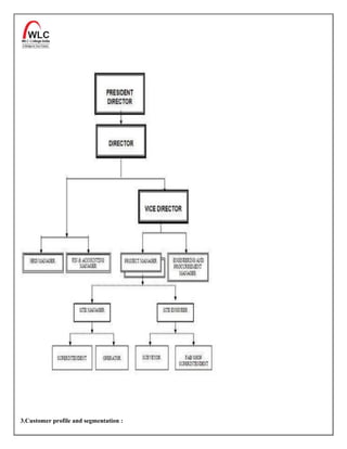 3.Customer profile and segmentation :
 