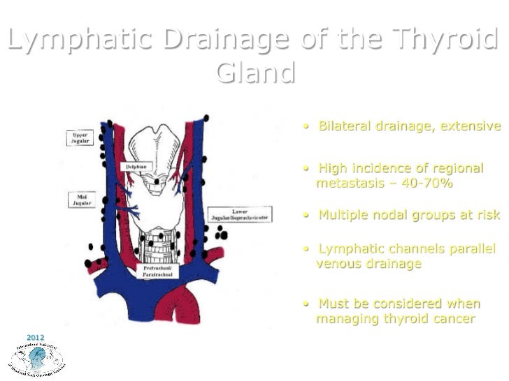 Thyroid cancer treatment of the neck by A. Shaha