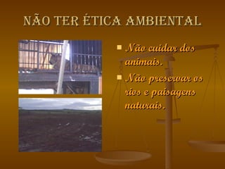 Não ter ética ambiental Não cuidar dos animais. Não preservar os rios e paisagens naturais. 
