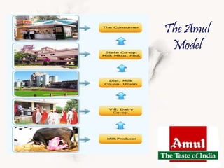 Amul presentation | PPTX