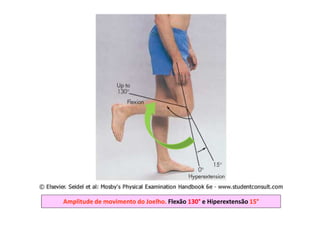 figura
Amplitude de movimento do Joelho. Flexão 130° e Hiperextensão 15°
 
