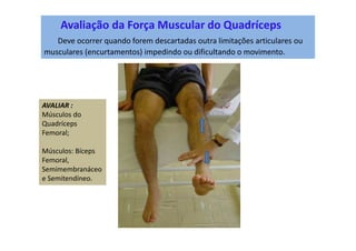Avaliação da Força Muscular do Quadríceps
Deve ocorrer quando forem descartadas outra limitações articulares ou
musculares (encurtamentos) impedindo ou dificultando o movimento.
AVALIAR :
Músculos do
Quadríceps
Femoral;
Músculos: Bíceps
Femoral,
Semimembranáceo
e Semitendíneo.
 