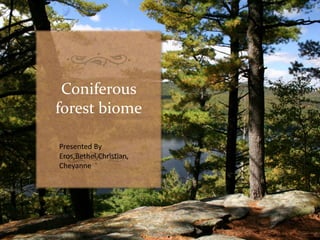 Coniferous
forest biome
Presented By
Eros,Bethel,Christian,
Cheyanne
 