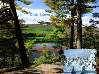 Other interesting facts
One interesting fact is the coniferous
forest has snow from October-May..
Another interesting fact is the
coniferous forest covers mountain
sides.
Source:http://www.ehow.c
om/info
 