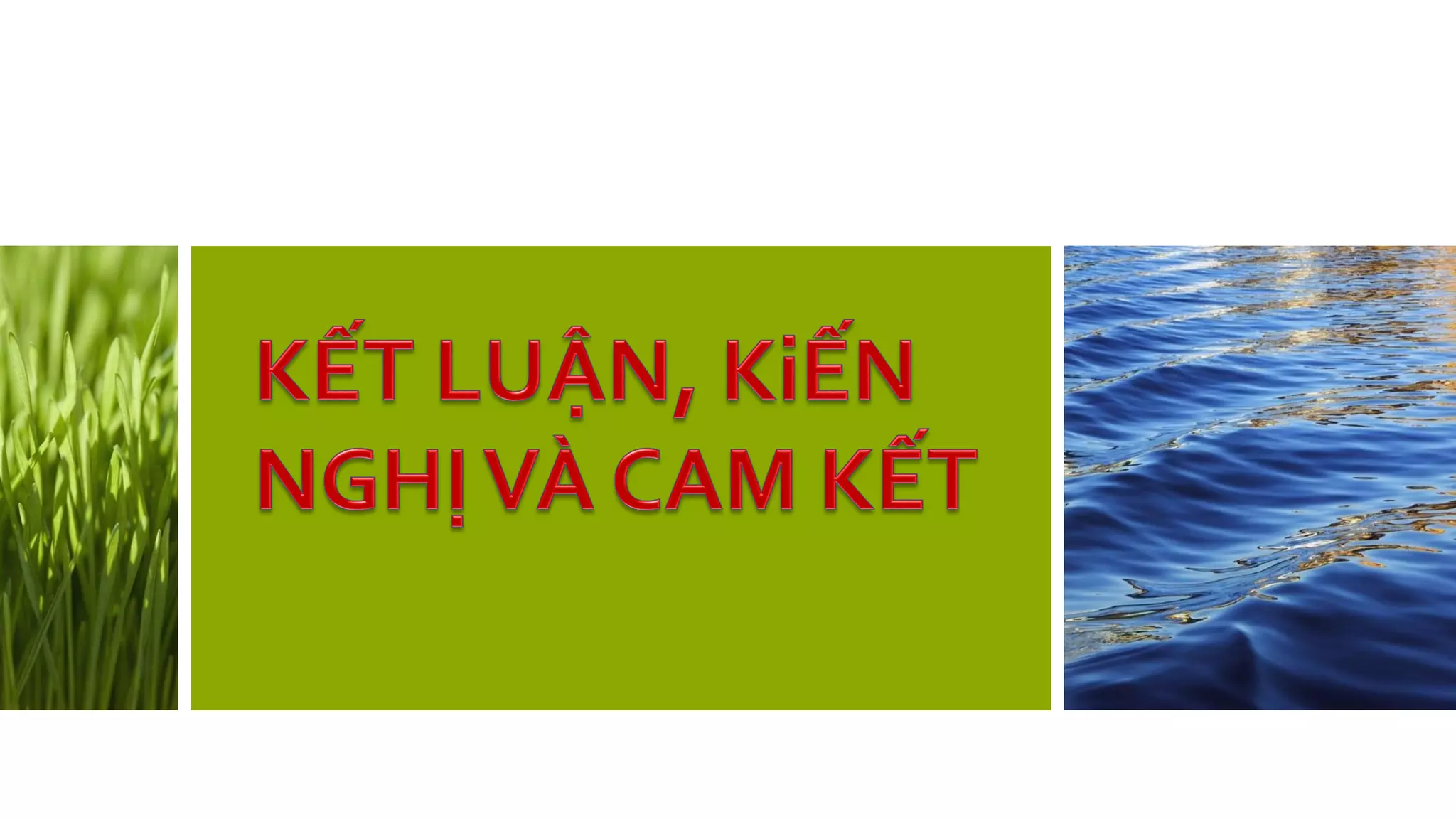 Slide 31