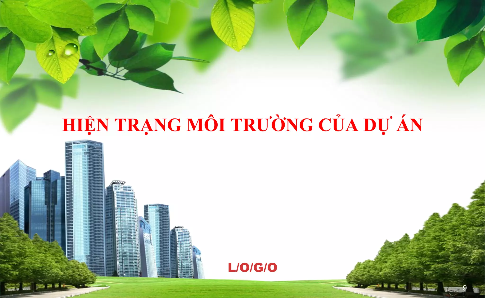 Slide 9