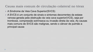 Causa mais comum de circulação colateral no tórax
 A Síndrome da Veia Cava Superior(SVCS)
 A SVCS é um conjunto de sinais e sintomas decorrentes da estase
venosa gerada pela obstrução da veia cava superior(VCS), seja por
trombose, compressão extrínseca ou invasão direta da veia. As causas
mais comuns de SVCS são malignas, sendo o câncer de pulmão a
principal causa
 