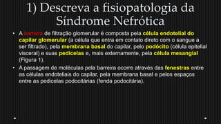 1) Descreva a fisiopatologia da
Síndrome Nefrótica
• A barreira de filtração glomerular é composta pela célula endotelial do
capilar glomerular (a célula que entra em contato direto com o sangue a
ser filtrado), pela membrana basal do capilar, pelo podócito (célula epitelial
visceral) e suas pedicelas e, mais externamente, pela célula mesangial
(Figura 1).
• A passagem de moléculas pela barreira ocorre através das fenestras entre
as células endoteliais do capilar, pela membrana basal e pelos espaços
entre as pedicelas podocitárias (fenda podocitária).
 