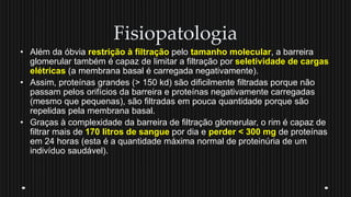 Fisiopatologia
• Além da óbvia restrição à filtração pelo tamanho molecular, a barreira
glomerular também é capaz de limitar a filtração por seletividade de cargas
elétricas (a membrana basal é carregada negativamente).
• Assim, proteínas grandes (> 150 kd) são dificilmente filtradas porque não
passam pelos orifícios da barreira e proteínas negativamente carregadas
(mesmo que pequenas), são filtradas em pouca quantidade porque são
repelidas pela membrana basal.
• Graças à complexidade da barreira de filtração glomerular, o rim é capaz de
filtrar mais de 170 litros de sangue por dia e perder < 300 mg de proteínas
em 24 horas (esta é a quantidade máxima normal de proteinúria de um
indivíduo saudável).
 