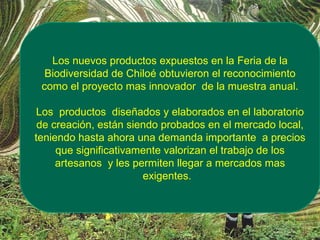 Los nuevos productos expuestos en la Feria de la Biodiversidad de Chiloé obtuvieron el reconocimiento como el proyecto mas innovador  de la muestra anual. Los  productos  diseñados y elaborados en el laboratorio de creación, están siendo probados en el mercado local, teniendo hasta ahora una demanda importante  a precios que significativamente valorizan el trabajo de los artesanos  y les permiten llegar a mercados mas exigentes.  