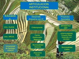 Univ. Austral. Univ. ARCIS. Educación. Desarrollo Artesanía con IC Chilemprende Centro Gestionador Negocios Municipalidad Chonchi. Araucanía Textil . Proyectos  Asociados SIPAM/FAO/GEF OPDP/SUBDERE Proyecto Piloto Desarrollo con identidad.  ARTICULACION  INSTITUCIONAL Universidad de Santiago, USACH Municipalidad Castro 