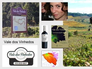 Vale dos Vinhedos  