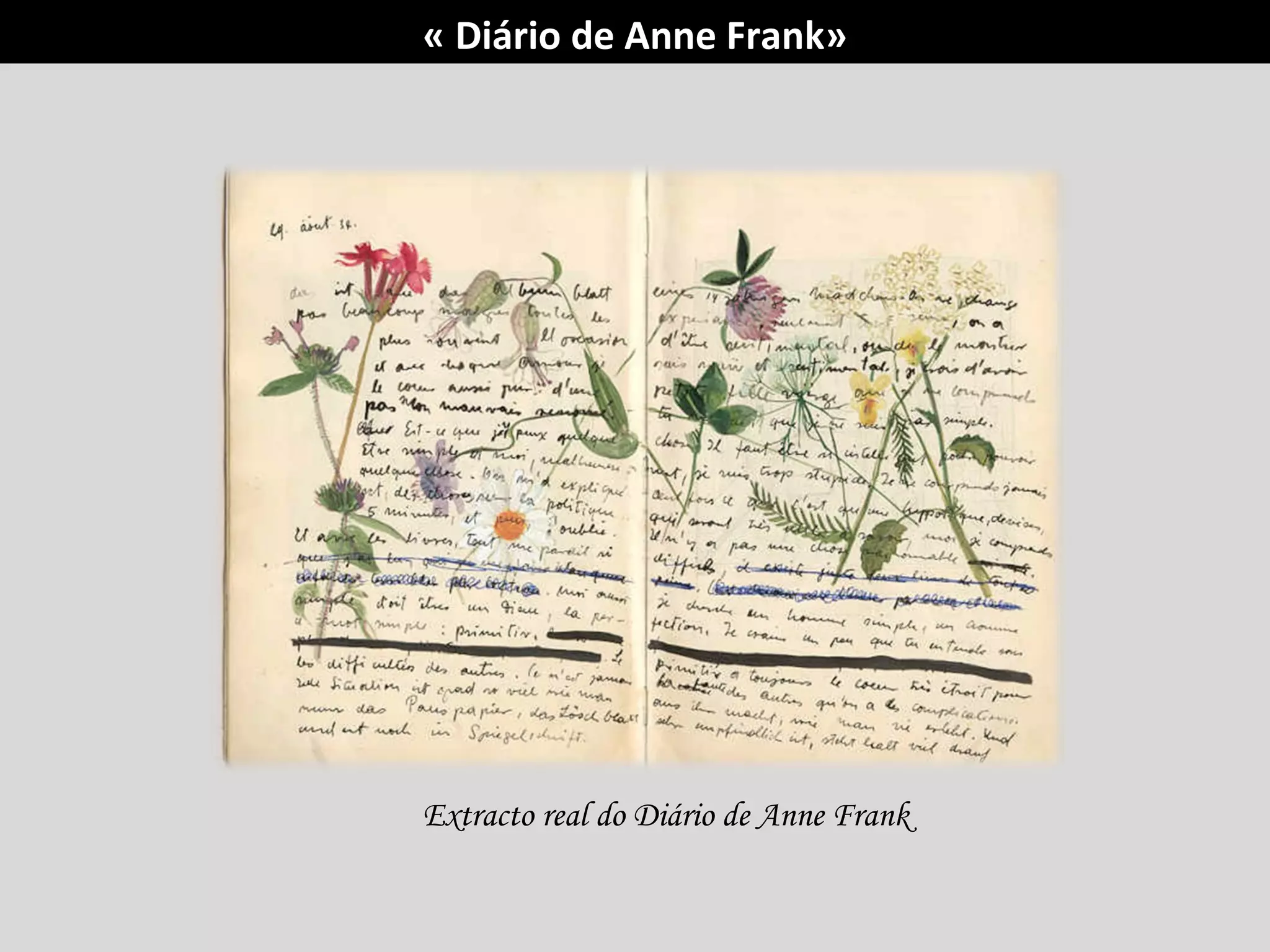 Extracto real do Diário de Anne Frank  « Diário de Anne Frank» 