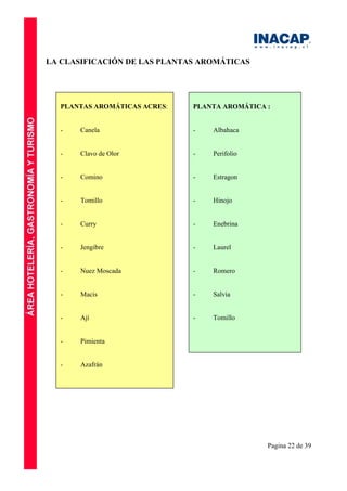 Pagina 22 de 39
LA CLASIFICACIÓN DE LAS PLANTAS AROMÁTICAS
PLANTA AROMÁTICA :
- Albahaca
- Perifolio
- Estragon
- Hinojo
- Enebrina
- Laurel
- Romero
- Salvia
- Tomillo
PLANTAS AROMÁTICAS ACRES:
- Canela
- Clavo de Olor
- Comino
- Tomillo
- Curry
- Jengibre
- Nuez Moscada
- Macis
- Ají
- Pimienta
- Azafrán
 