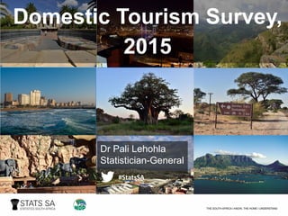 Domestic Tourism Survey,
2015
Dr Pali Lehohla
Statistician-General
#StatsSA
 