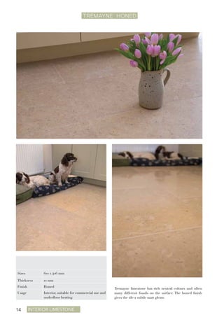 Interior Limestone14
TREMAYNE HONED
Tremayne limestone has rich neutral colours and often
many different fossils on the surface. The honed finish
gives the tile a subtle matt gleam.
Sizes 610 x 406 mm
Thickness 12 mm
Finish Honed
Usage Interior, suitable for commercial use and
underfloor heating
 