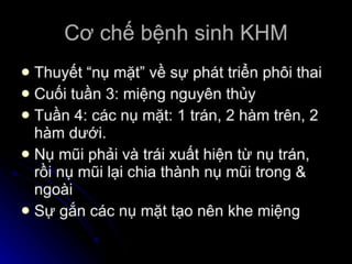 dị tật bẩm sinh hàm mặt.pdf