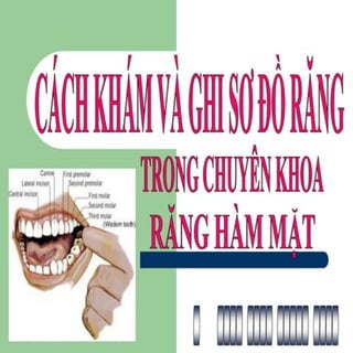 dị tật bẩm sinh hàm mặt.pdf