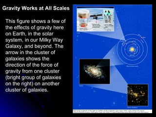 This figure shows a few of
the effects of gravity here
on Earth, in the solar
system, in our Milky Way
Galaxy, and beyond. The
arrow in the cluster of
galaxies shows the
direction of the force of
gravity from one cluster
(bright group of galaxies
on the right) on another
cluster of galaxies.
Gravity Works at All Scales
 