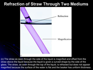 Refraction of Straw Through Two Mediums
(c) The straw as seen through the side of the liquid is magnified and offset from the
straw above the liquid because the liquid is given a curved shape by the side of the
glass. The straw, as seen through the top of the liquid, is refracted but does not appear
magnified because the surface of the water is flat and the beaker has uniform thickness.
 