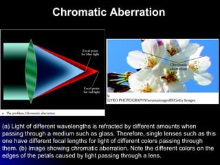 Chromatic Aberration
(a) Light of different wavelengths is refracted by different amounts when
passing through a medium such as glass. Therefore, single lenses such as this
one have different focal lengths for light of different colors passing through
them. (b) Image showing chromatic aberration. Note the different colors on the
edges of the petals caused by light passing through a lens.
 