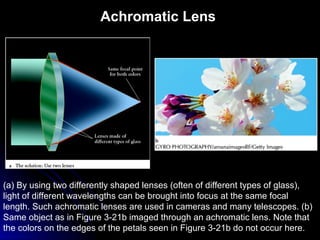 Achromatic Lens
(a) By using two differently shaped lenses (often of different types of glass),
light of different wavelengths can be brought into focus at the same focal
length. Such achromatic lenses are used in cameras and many telescopes. (b)
Same object as in Figure 3-21b imaged through an achromatic lens. Note that
the colors on the edges of the petals seen in Figure 3-21b do not occur here.
 